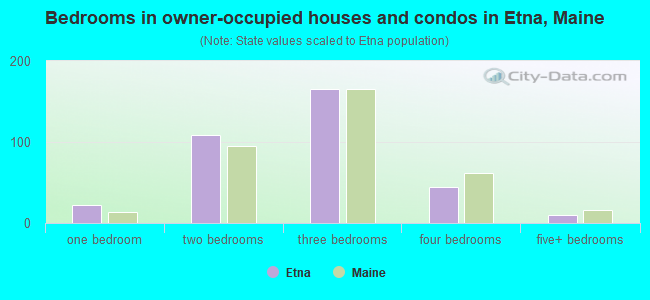 Bedrooms in owner-occupied houses and condos in Etna, Maine