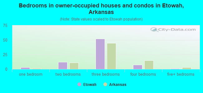 Bedrooms in owner-occupied houses and condos in Etowah, Arkansas