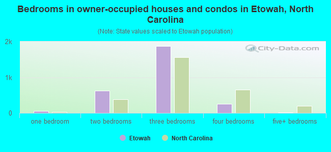 Bedrooms in owner-occupied houses and condos in Etowah, North Carolina
