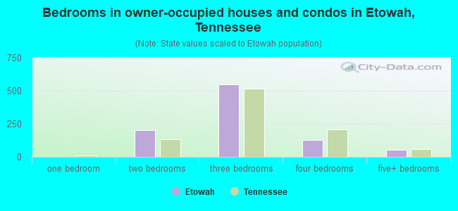 Bedrooms in owner-occupied houses and condos in Etowah, Tennessee