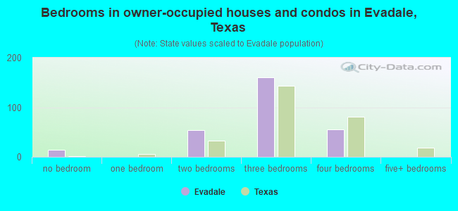 Bedrooms in owner-occupied houses and condos in Evadale, Texas