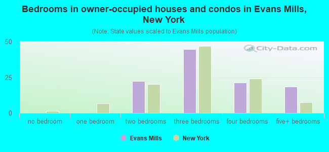 Bedrooms in owner-occupied houses and condos in Evans Mills, New York