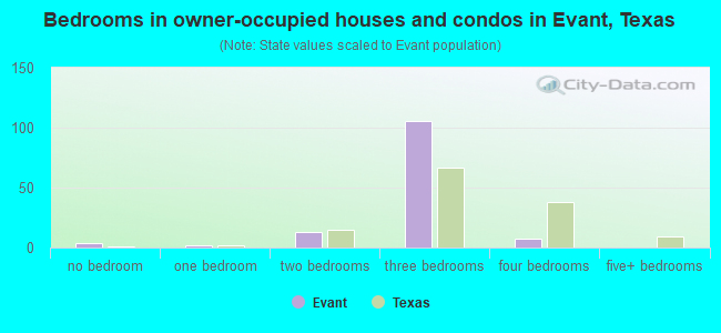 Bedrooms in owner-occupied houses and condos in Evant, Texas