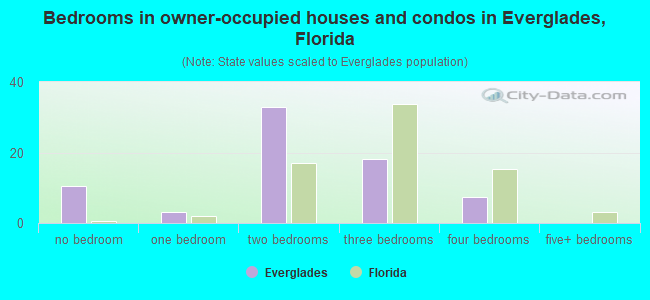 Bedrooms in owner-occupied houses and condos in Everglades, Florida