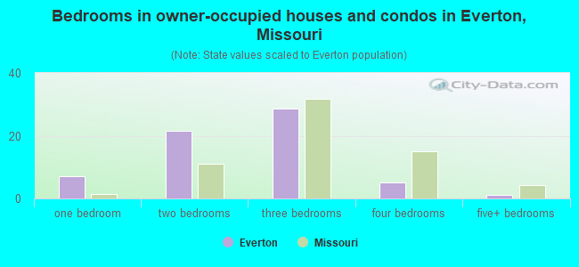 Bedrooms in owner-occupied houses and condos in Everton, Missouri