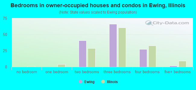 Bedrooms in owner-occupied houses and condos in Ewing, Illinois