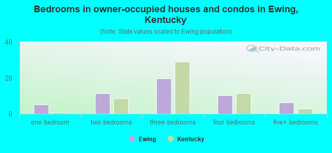 Bedrooms in owner-occupied houses and condos in Ewing, Kentucky