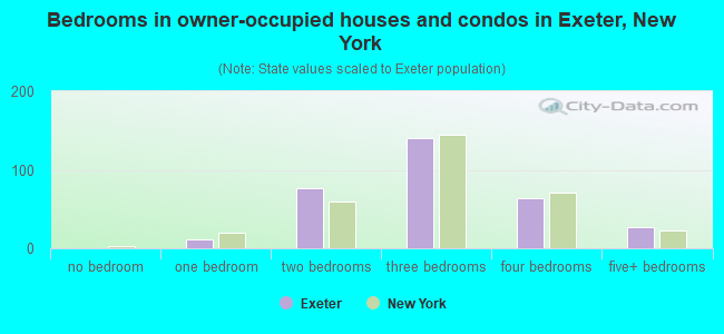 Bedrooms in owner-occupied houses and condos in Exeter, New York