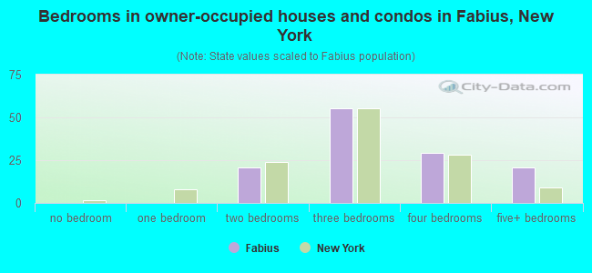 Bedrooms in owner-occupied houses and condos in Fabius, New York