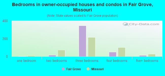Bedrooms in owner-occupied houses and condos in Fair Grove, Missouri