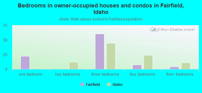 Bedrooms in owner-occupied houses and condos in Fairfield, Idaho