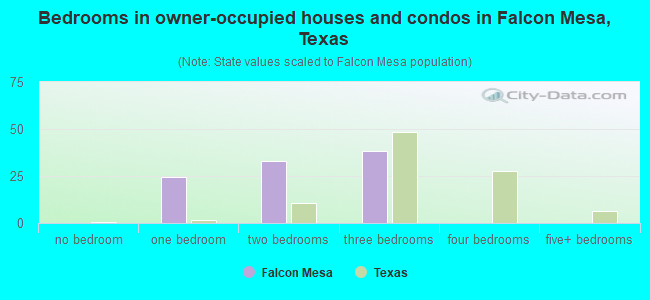 Bedrooms in owner-occupied houses and condos in Falcon Mesa, Texas