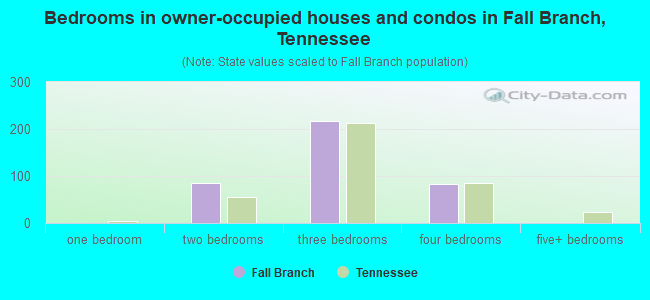 Bedrooms in owner-occupied houses and condos in Fall Branch, Tennessee