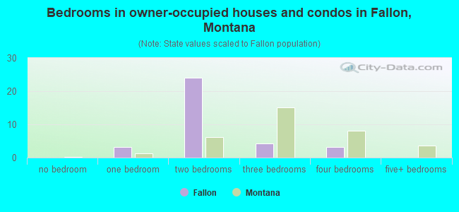 Bedrooms in owner-occupied houses and condos in Fallon, Montana