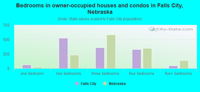 Bedrooms in owner-occupied houses and condos in Falls City, Nebraska