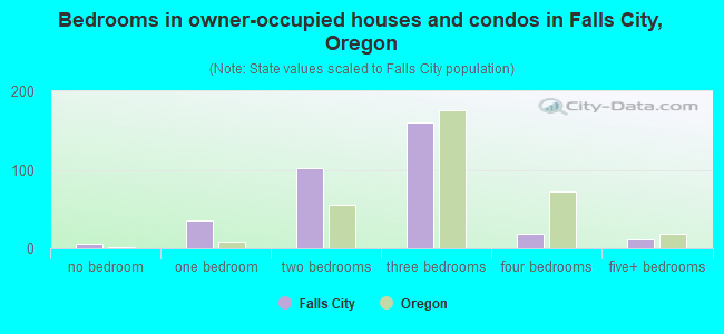 Bedrooms in owner-occupied houses and condos in Falls City, Oregon