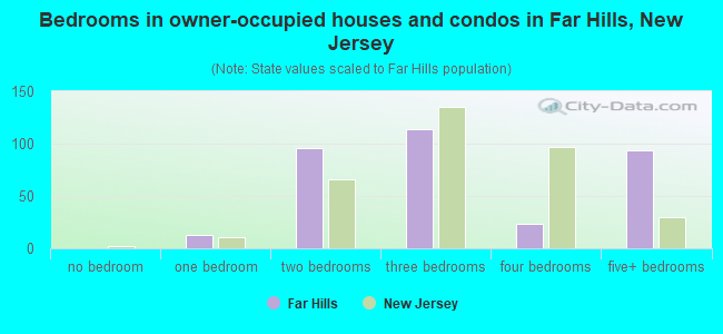 Bedrooms in owner-occupied houses and condos in Far Hills, New Jersey