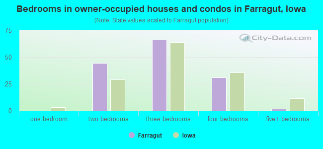 Bedrooms in owner-occupied houses and condos in Farragut, Iowa