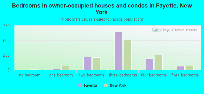 Bedrooms in owner-occupied houses and condos in Fayette, New York