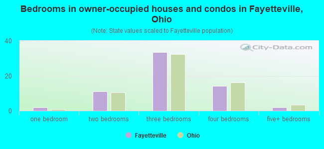 Bedrooms in owner-occupied houses and condos in Fayetteville, Ohio