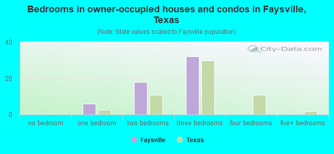 Bedrooms in owner-occupied houses and condos in Faysville, Texas