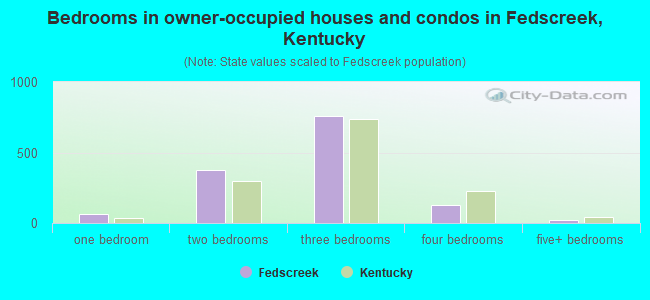 Bedrooms in owner-occupied houses and condos in Fedscreek, Kentucky