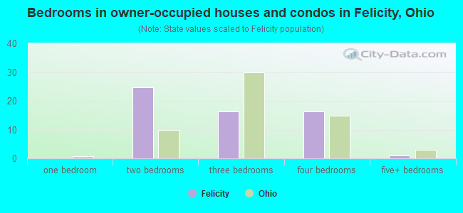 Bedrooms in owner-occupied houses and condos in Felicity, Ohio