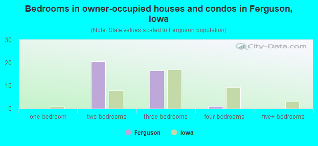 Bedrooms in owner-occupied houses and condos in Ferguson, Iowa