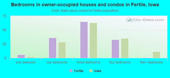 Bedrooms in owner-occupied houses and condos in Fertile, Iowa