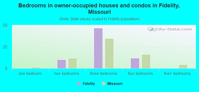 Bedrooms in owner-occupied houses and condos in Fidelity, Missouri