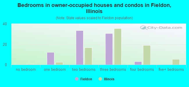 Bedrooms in owner-occupied houses and condos in Fieldon, Illinois