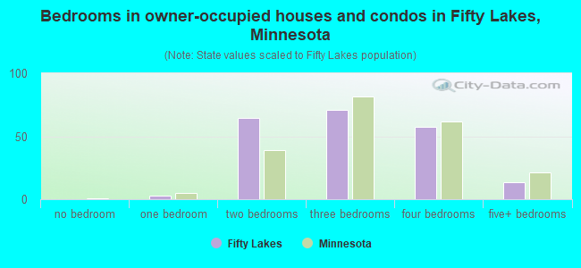 Bedrooms in owner-occupied houses and condos in Fifty Lakes, Minnesota