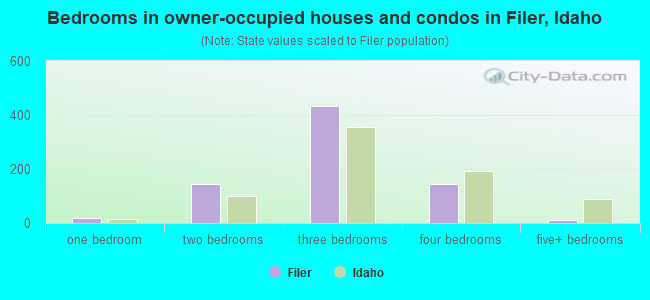 Bedrooms in owner-occupied houses and condos in Filer, Idaho