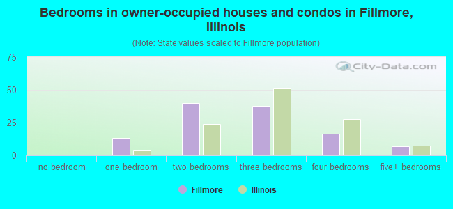 Bedrooms in owner-occupied houses and condos in Fillmore, Illinois