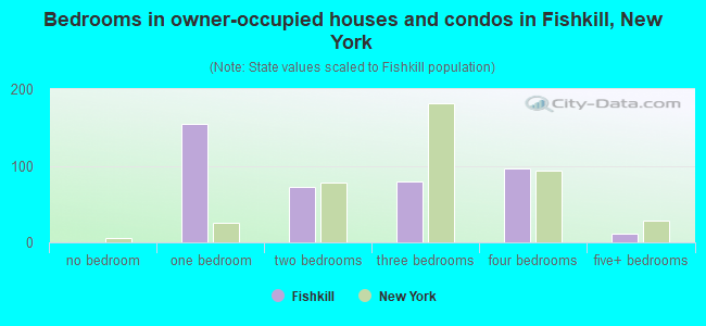 Bedrooms in owner-occupied houses and condos in Fishkill, New York