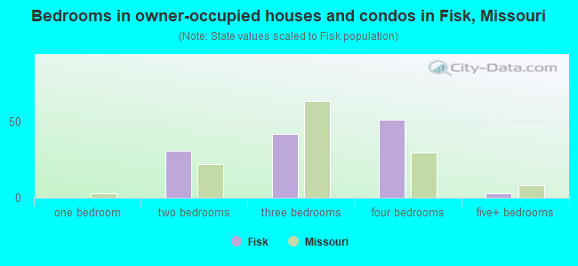 Bedrooms in owner-occupied houses and condos in Fisk, Missouri