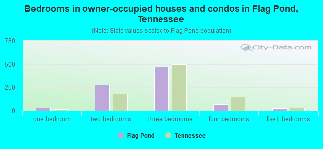Bedrooms in owner-occupied houses and condos in Flag Pond, Tennessee