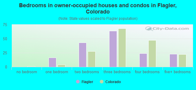 Bedrooms in owner-occupied houses and condos in Flagler, Colorado