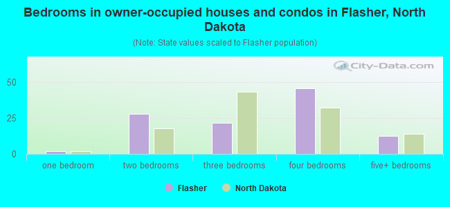 Bedrooms in owner-occupied houses and condos in Flasher, North Dakota