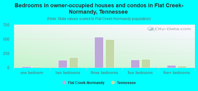 Bedrooms in owner-occupied houses and condos in Flat Creek-Normandy, Tennessee