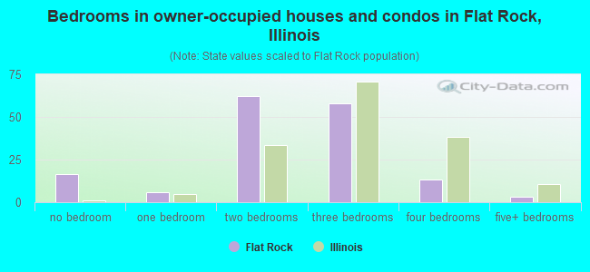 Bedrooms in owner-occupied houses and condos in Flat Rock, Illinois