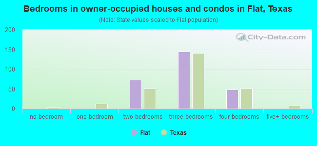 Bedrooms in owner-occupied houses and condos in Flat, Texas