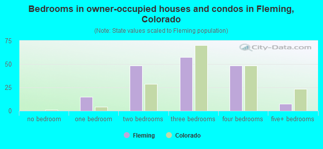 Bedrooms in owner-occupied houses and condos in Fleming, Colorado