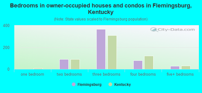Bedrooms in owner-occupied houses and condos in Flemingsburg, Kentucky