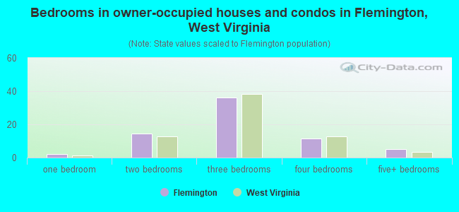 Bedrooms in owner-occupied houses and condos in Flemington, West Virginia