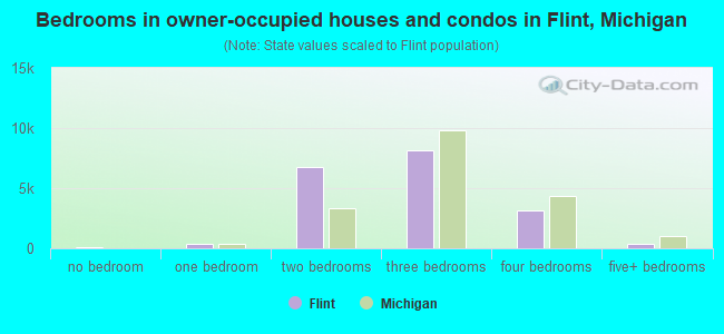 Bedrooms in owner-occupied houses and condos in Flint, Michigan