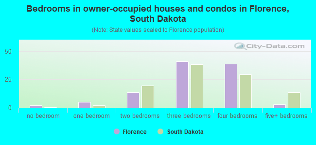 Bedrooms in owner-occupied houses and condos in Florence, South Dakota