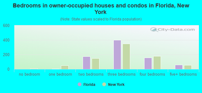 Bedrooms in owner-occupied houses and condos in Florida, New York