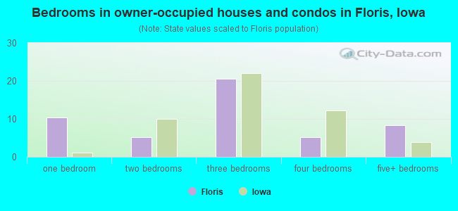 Bedrooms in owner-occupied houses and condos in Floris, Iowa