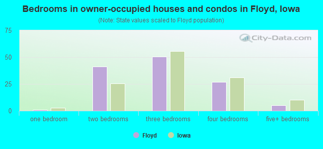 Bedrooms in owner-occupied houses and condos in Floyd, Iowa